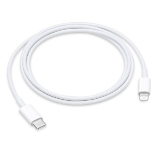 Cables Lighthing APPLE MUQ93AM/A