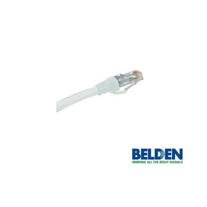 Patch Cord UTP CAT6A BELDEN CA21109007