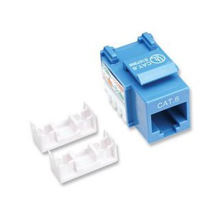 Jack INTELLINET 210737