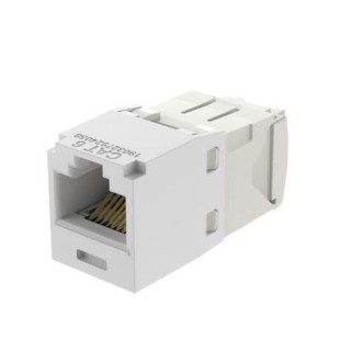 Jack PANDUIT CJ688TGWH