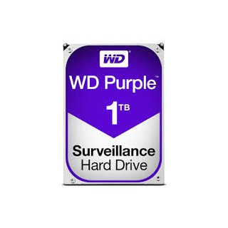 Disco Duro WESTERN DIGITAL WD10PURZ