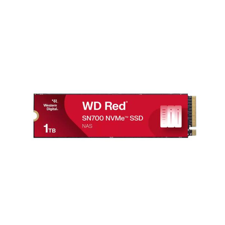 SSD SANDISK WDS100T1R0C