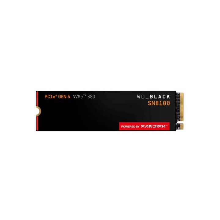 SSD SANDISK WDS100T1X0M