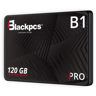 SSD Blackpcs AS2O1-120